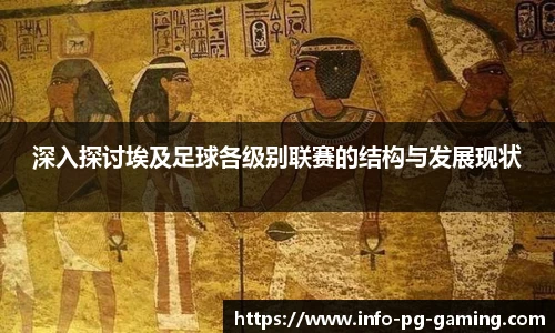 深入探讨埃及足球各级别联赛的结构与发展现状
