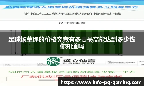 足球场草坪的价格究竟有多贵最高能达到多少钱你知道吗